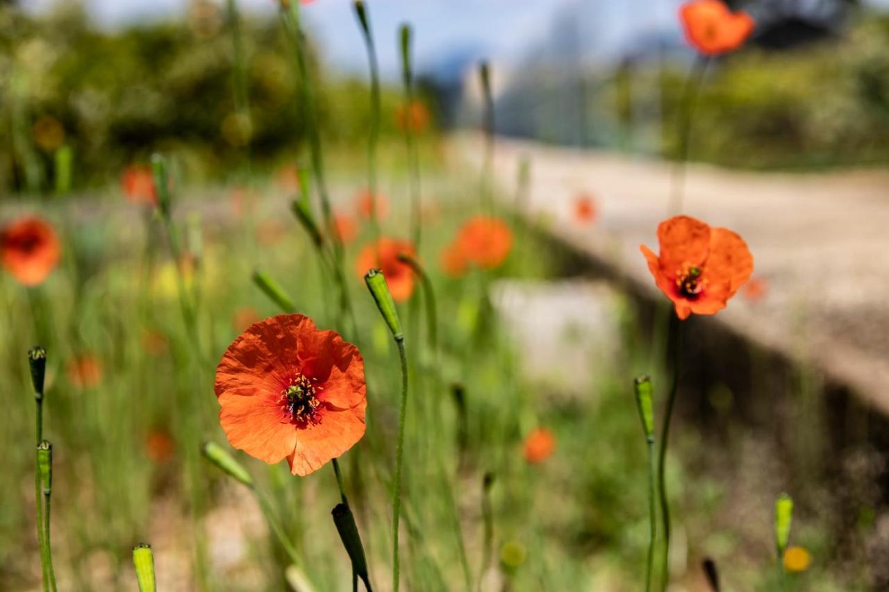 La Cambra Casa Rural Potries ภายนอก รูปภาพ